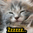A gray tabby cat with closed eyes and a relaxed expression appears in two side-by-side frames, each displaying the word 'LARRY.' on a yellow banner below.