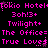 Pixelated text in bright pink on black background repeats 'Tokio Hotel', '3oh!3+', 'Twilight+', 'The Office=', and 'True Love' in three horizontal with small star-like symbols