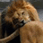 A pixelated image shows a lion's head on the left and green background with white text on the right.