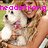 A pixelated image shows a person holding a small white dog with brown patches, overlaid by bright pink text reading 'headstrong' across the top.