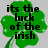 Green four-leaf clovers with black text reading 'its the luck of the irish' on a gray background.