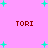 Pink background with scattered cyan plus signs and four red 'TORI' text blocks in a pattern