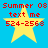 Yellow star with red text on blue background, showing four identical static frames of 'Summer 08' and contact details.