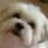 Pixelated close-up of a face with dark eyes and light skin tones, featuring visible tears streaming down the cheeks.