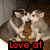 Two cartoon wolves kiss on a brown surface with red text reading "Love at first sight" below them.