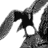 iconhell_flamity_final