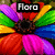 A colorful flower with rainbow petals, a white dog, and a heart-shaped icon with a brown circle above it, all labeled with text.