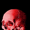 Six red-toned skull images arranged in two on a black background, each showing a different rotation of the skull's head