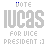 A 5x5 contact sheet of animated frames showing a pixelated 'VOTE LUCAS FOR VICE PRESIDENT' text animation with blue underline and color changes across sampled frames.