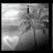 Black-and-white animated icon with palm tree, heart, and changing text: 'i', 'luy', 'NICK!'