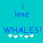 Blue pixelated text on cyan background reads 'i love WHALES!' with five white star icons below, two variations of the star arrangement visible.
