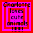 Four identical pixelated text-based icons arranged in a , each displaying "Charlotte loves cute animals" with red and pink borders and six exclamation marks below the text