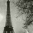 Black-and-white Eiffel Tower image with tree branches in background, displayed across four showing sequential pixel changes