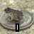 A static image of three plates with food, each labeled with text in black boxes.
