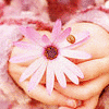 A pair of hands holds a pink flower with white petals and a brown center, with a small brown seed-like object near the flower, and a white heart shape appears in the lower right.