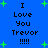 Blue background with green plus signs and repeated black text reading "I Love You Trevor !!!!" in two