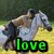 A four- shows a knight on horseback with green text overlays reading 'love', 'to', and 'ride' across different poses