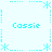 Pixelated cyan text 'Cassie' appears four times within a light blue of asterisks and dotted lines on white background