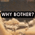 Animated icon shows a character with light brown hair and a dark background, displaying text 'WHY BOTHER?' above the character's head.