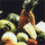 Food icons for AIM, MSN, MySpace and Yahoo