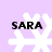 Four identical pixelated snowflakes on a light purple background, each overlaid with the text 'SARA' in bold black letters.
