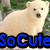 A four- displays pixelated images with overlaid text: a dog, a person with glasses, a dog and cat, and a blank