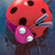 A pixelated red mushroom with dark brown spots and a pink stem featuring white spots, set against a blue gradient background.