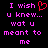Pixelated text in pink and red on black background with a red heart symbol replacing 'you' in 'I wish you knew...'