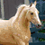 six distinct visual elements including a horse, text, and symbols on purple and gray backgrounds