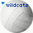 Pixelated circular icon with gray gradient background, blue text reading 'wildcats', and scattered light blue dots.