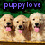 Three golden retriever dogs with pink tongues and black noses stand side-by-side under purple text reading 'puppylove' on a green background.