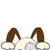 Animated cartoon dog with brown ears and white body, showing sequential expressions from peeking to smiling.