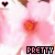 pink cherry blossoms with orange centers, each containing a black heart icon and 'PRETTY' text in pixelated font