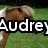 A horse with light brown and white coloring stands on green grass, partially obscured by text overlays.