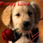 A dog with a red bow on its head holds a rose in its mouth against a brown background, next to text reading 'dogs are miracles with paws' on a red