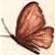 buddysite-05559