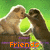 Two monkeys face each other on a green background, with orange text below them changing across frames.