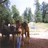 Pixelated static image shows a figure with long brown hair standing outdoors near trees and water under bright sky.