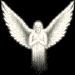 Four white angel figures with outstretched wings against black background, each in distinct pose variations.
