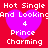 Red background with four identical purple hearts, each containing white text reading 'Hot Single And Looking', '4', 'Prince', and 'Charming' in pixelated font.