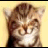 A pixelated cat with brown and white fur appears on a yellow background, accompanied by blue text reading YOU ALWAYS MAKE ME SMILE.