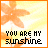 A 5x5 contact sheet of animated frames showing a static icon with orange flower graphics and text "YOU ARE MY sunshine" on a yellow gradient background, framed by an orange border.