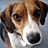 A dog's face in four pixelated views showing different angles and expressions with brown, white, and black fur.