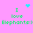 Pixelated green text on pink background reads "I love Elephants:)" with two cyan pixelated symbols above the text, one heart and one starburst, in two identical static frames.