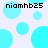 Pixelated cyan circles on light purple background with repeated text 'niamhb25' in black pixel font at four corners.