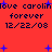 Red background with dark blue text reading "love carolinlove carolin forever forever 12/22/08" and scattered blue plus signs.