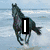 six horse images with text overlays reading "I LOVE HORSES AND PONIES" in bold white letters