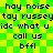 Green and yellow checkered background with black pixelated text repeating 'hay noise', 'tay russey', 'idc what u idc what u', 'call us', 'bffl' in two identical vertical