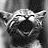 Black-and-white animated kitten icon with exaggerated laughing expression and repeated text elements across frames.