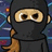 Pixelated character in black ninja mask and dark clothing with brown hair, green text on black background reading "It's ok... Friendly [: I'm a Ninja".